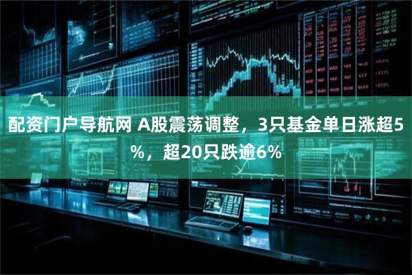 配资门户导航网 A股震荡调整，3只基金单日涨超5%，超20只跌逾6%