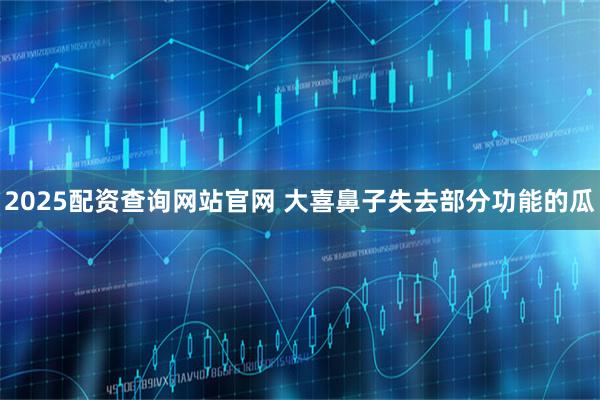 2025配资查询网站官网 大喜鼻子失去部分功能的瓜