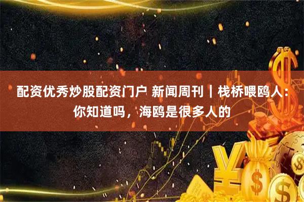 配资优秀炒股配资门户 新闻周刊｜栈桥喂鸥人：你知道吗，海鸥是很多人的