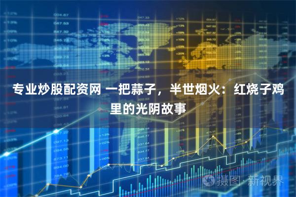 专业炒股配资网 一把蒜子，半世烟火：红烧子鸡里的光阴故事