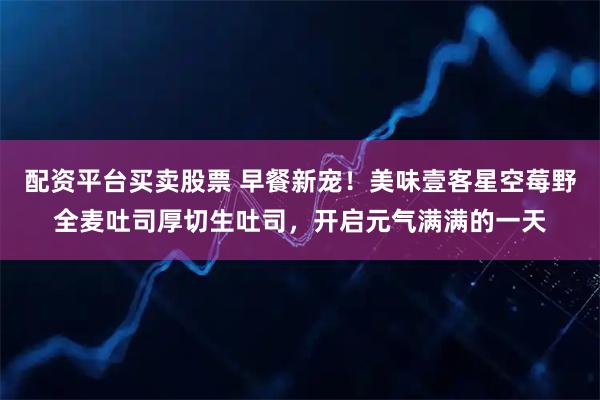 配资平台买卖股票 早餐新宠！美味壹客星空莓野全麦吐司厚切生吐司，开启元气满满的一天